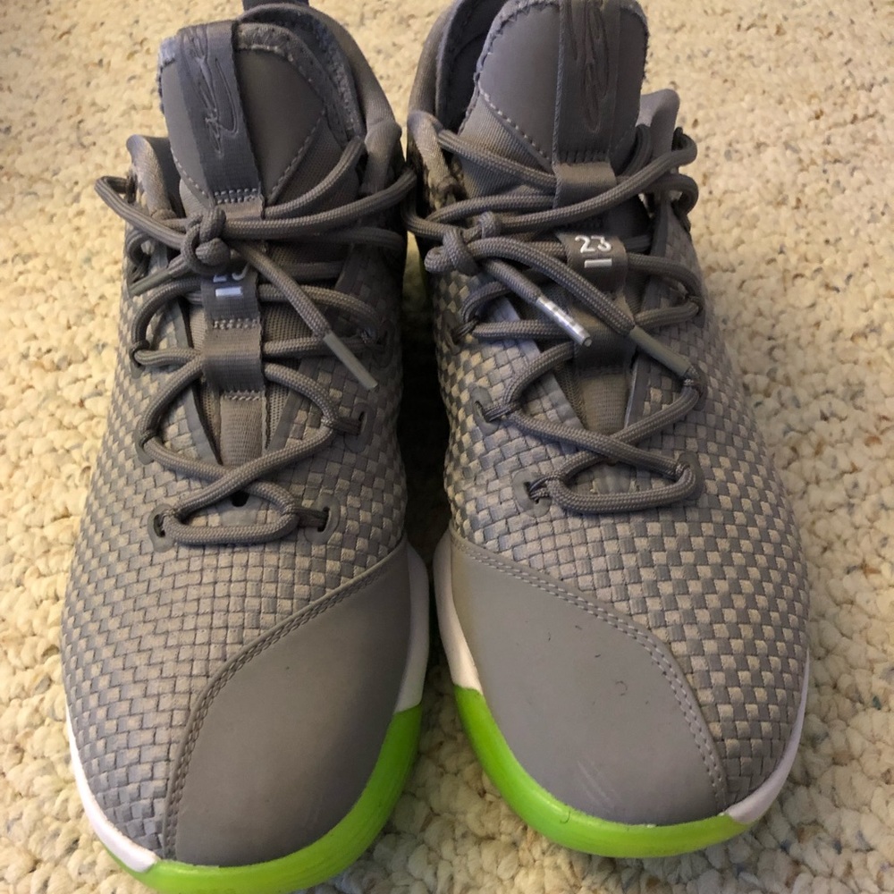 Nike zoom Lebrons Low